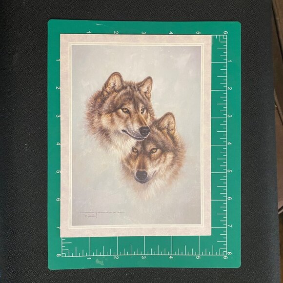 Combo Leanin' Tree Greeting Card/Magnet FOREST MATES Wolves Anniversary Larry Fa - Picture 7 of 10